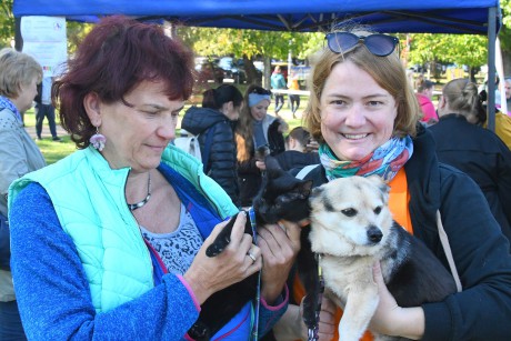 A Haleszban rendezték szombaton az első fehérvári Állatvédelmi Napot